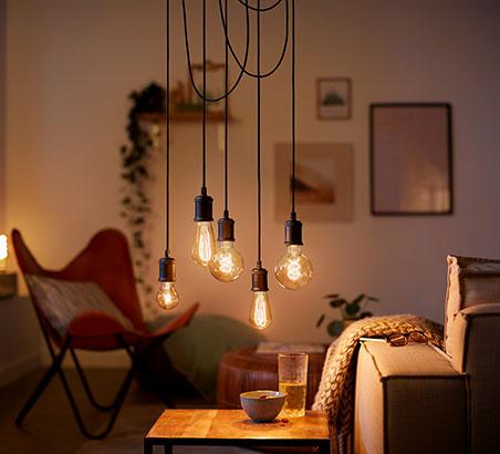 Vintage Look⁣ Led Bulbs